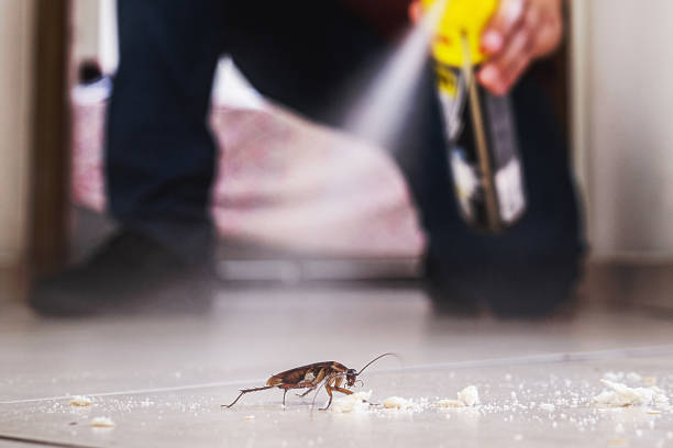 Flea Control Services in Park City, IL