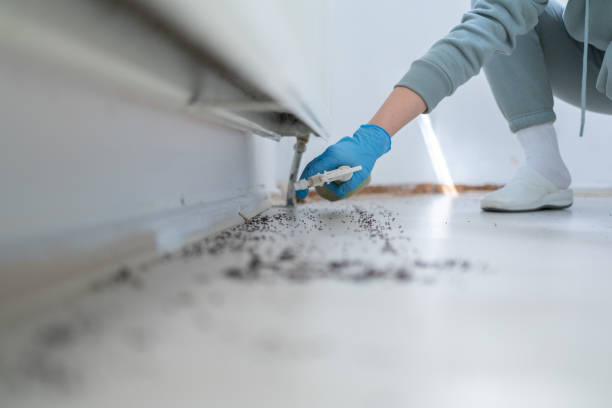 Best Mosquito Control Services  in Park City, IL